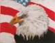 Our Community Calendar 2012 Art